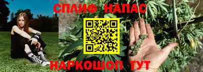 шишки Новокубанск