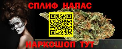 шишки Новокубанск