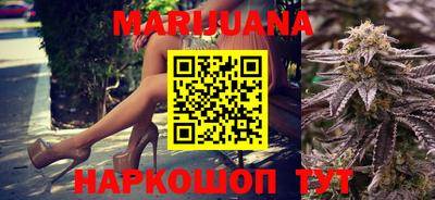 шишки Новокубанск