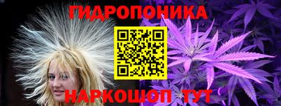 шишки Новокубанск