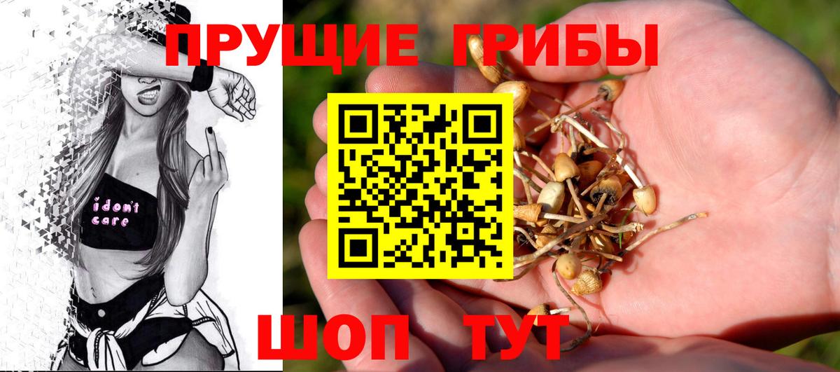 Урюпинск  Псилоцибиновые грибы мухоморы  Вход с VPN 